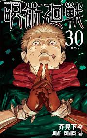 Jujutsu Kaisen Vol 30