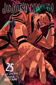 Jujutsu Kaisen | Volume 25 | Manga